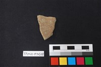 藏品(陶片)的圖片