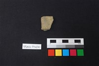 藏品(陶片)的圖片