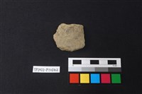 藏品(陶片)的圖片