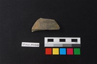 藏品(陶片)的圖片