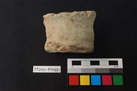 藏品(陶片)的圖片