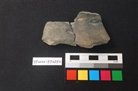 藏品(陶片)的圖片