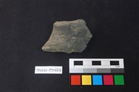 藏品(陶片)的圖片