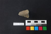 藏品(陶片)的圖片