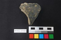 藏品(陶片)的圖片