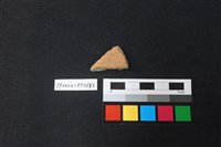 藏品(陶片)的圖片