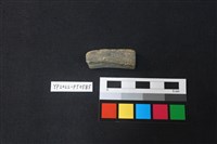 藏品(陶片)的圖片