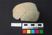 藏品(陶片)的圖片