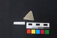 藏品(陶片)的圖片