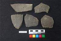 藏品(陶片)的圖片