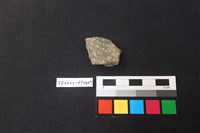 藏品(陶片)的圖片