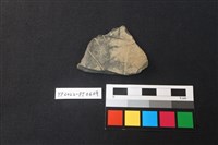 藏品(陶片)的圖片