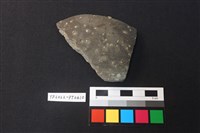 藏品(陶片)的圖片