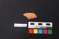 藏品(陶片)的圖片