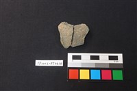 藏品(陶片)的圖片