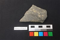 藏品(陶片)的圖片