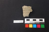 藏品(陶片)的圖片