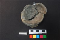 藏品(陶杯)的圖片