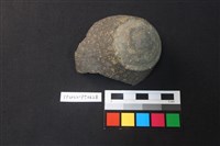 藏品(陶片)的圖片