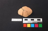 藏品(陶片)的圖片