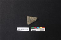 藏品(陶片)的圖片