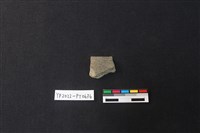 藏品(陶片)的圖片