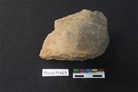 藏品(陶片)的圖片