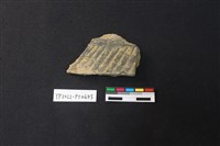 藏品(陶片)的圖片