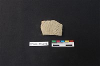 藏品(陶片)的圖片