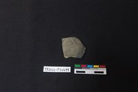 藏品(陶片)的圖片