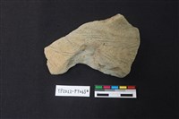 藏品(陶片)的圖片