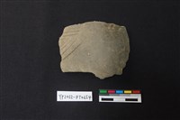 藏品(陶片)的圖片