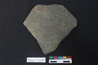 藏品(陶片)的圖片