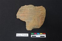 藏品(陶片)的圖片