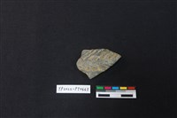 藏品(陶片)的圖片