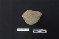 藏品(陶片)的圖片