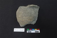 藏品(陶片)的圖片