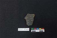 藏品(陶片)的圖片