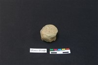 藏品(陶鈕)的圖片