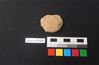 藏品(陶片)的圖片