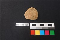 藏品(陶片)的圖片