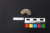 藏品(陶紡輪)的圖片