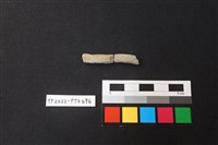 藏品(陶環)的圖片