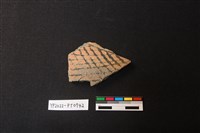 藏品(陶片)的圖片