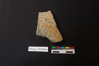 藏品(陶片)的圖片