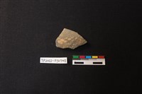 藏品(陶片)的圖片