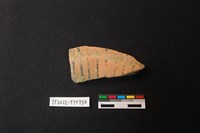 藏品(陶片)的圖片