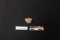 藏品(陶片)的圖片