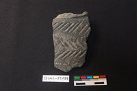 藏品(陶片)的圖片