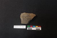 藏品(陶片)的圖片